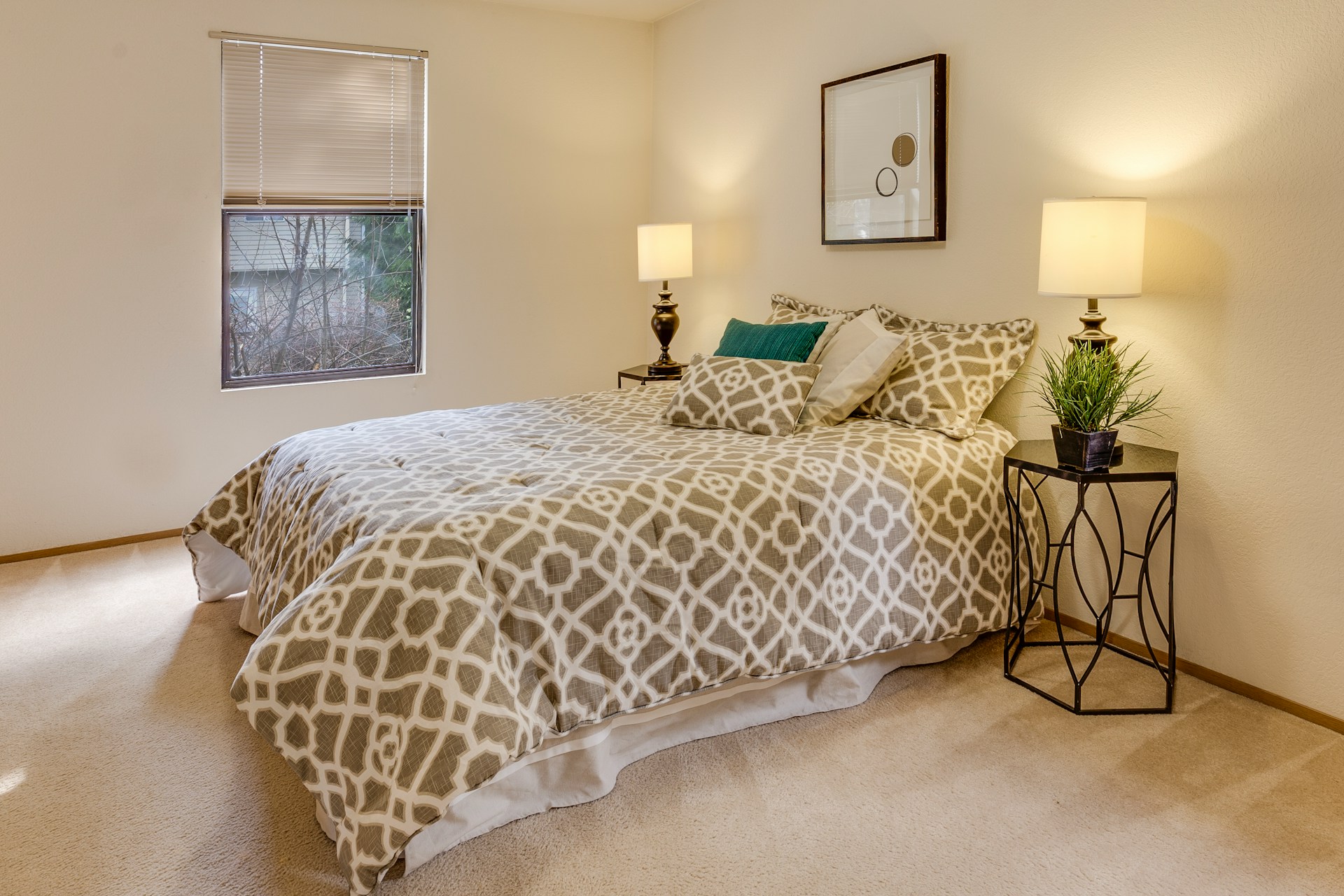 Elevate Your Space: Budget-Friendly Home Decor Products